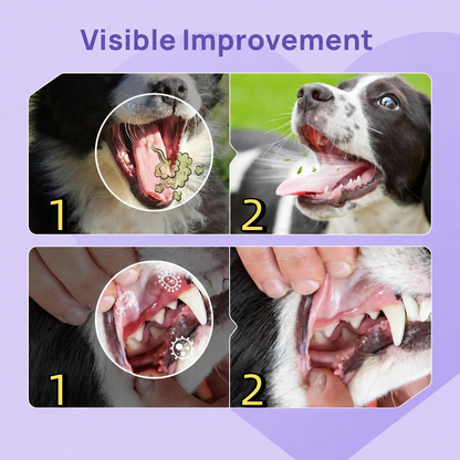 🐶 Fresh Breath & Tartar Control Dental Spray for Dogs ✨ (No-Brushing Needed)
