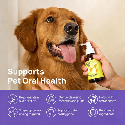 🐶 Fresh Breath & Tartar Control Dental Spray for Dogs ✨ (No-Brushing Needed)