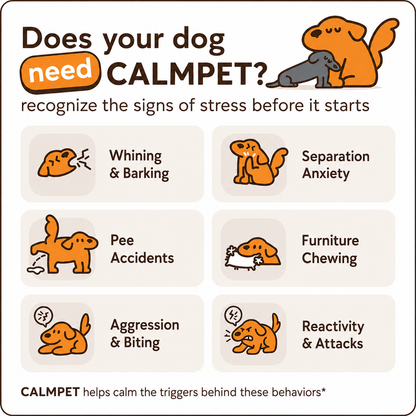 🐶 CALMPET Dog Calming Diffuser – Up to 30 Days of Calming Support for Stress, Barking, Chewing & Separation Anxiety