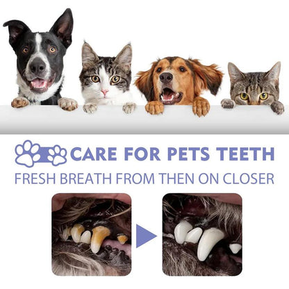 🐶 Fresh Breath & Tartar Control Dental Spray for Dogs ✨ (No-Brushing Needed)