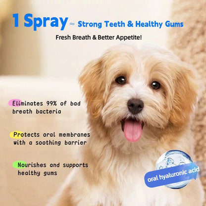 🐶 Fresh Breath & Tartar Control Dental Spray for Dogs ✨ (No-Brushing Needed)